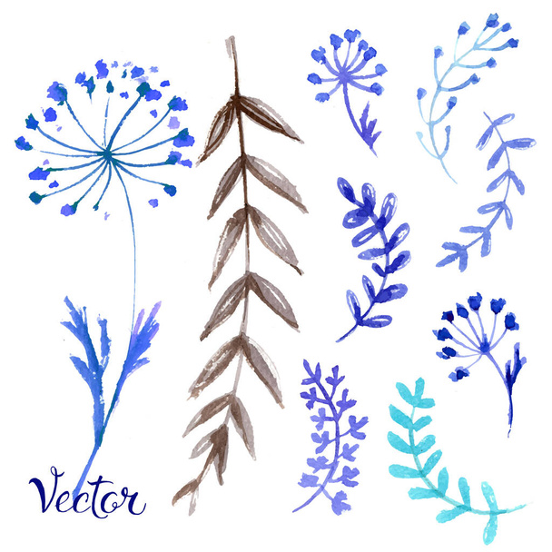 Set of flowers painted in watercolor on white paper. Sketch of flowers and herbs. Wreath, garland of flowers. Color - Vetor, Imagem