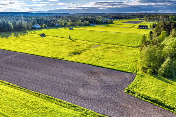 Foto aérea de primavera verde fresca y campos arados rodeados de bosque, campiña escandinava, casas. Todo iluminado por el atardecer, cielos azules con algunas nubes. Suecia, Umea. Vista lateral - Foto, imagen