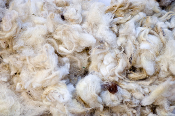 Primo piano di lana
 - Foto, immagini