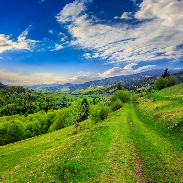 path on hillside meadow in mountain - Photo, Image