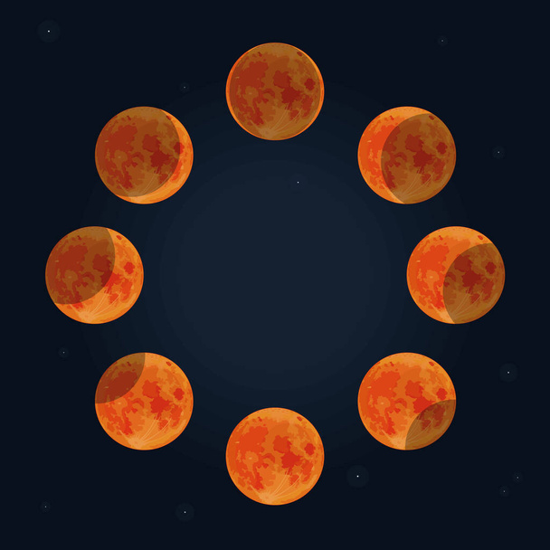 lunar eclipse phases - Vector, Image
