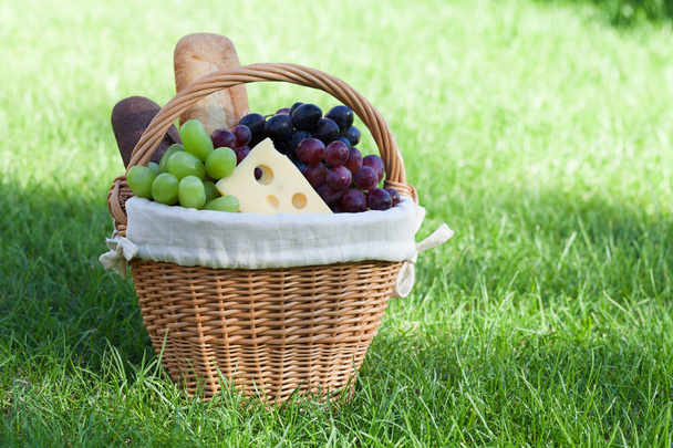 yeşil çim üzerinde açık piknik sepeti - Fotoğraf, Görsel