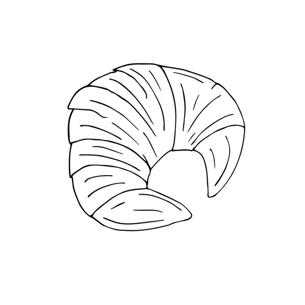 seashell icon. hand drawn vector illustration. - Wektor, obraz