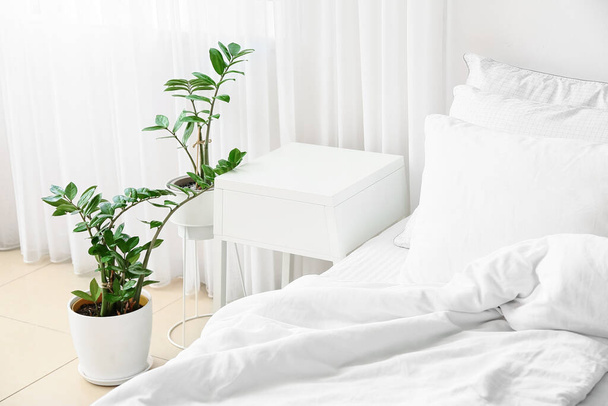 Modern bedside table and houseplant in interior of bedroom - Φωτογραφία, εικόνα