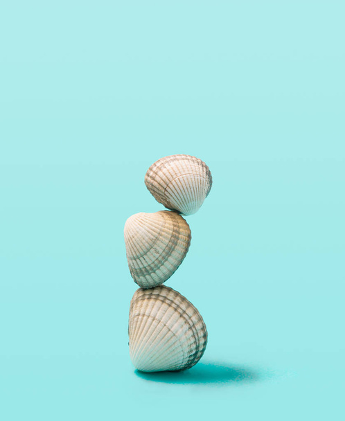 Minimal arrangement of three scallops balancing on each other. Blue background. - Photo, Image