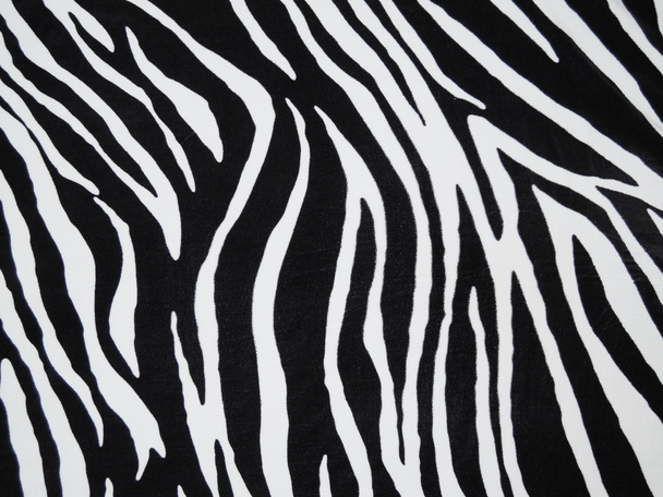 zebra textile - Photo, Image
