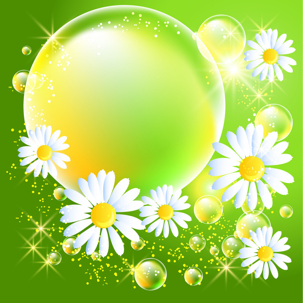 Bubbles and daisy  - Vetor, Imagem