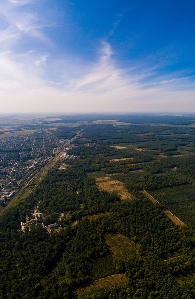 Local deforestation, aerial deforestation areas, Ukrainian forests and their destruction. new - Photo, Image