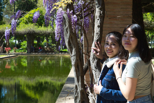 Δύο νεαρά και όμορφα κορίτσια από την Ασία κοιτάζουν την κάμερα ακουμπισμένα σε ένα μωβ ανθισμένο δέντρο σε ένα πάρκο. Υπάρχει μια λίμνη με χρυσόψαρα και άφθονη πράσινη βλάστηση - Φωτογραφία, εικόνα