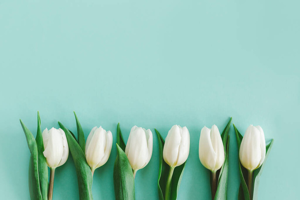 Delikatne białe tulipany na pastelowym turkusowym tle. Pozdrowienia na Dzień Kobiet. Leżeć płasko. Miejsce na tekst.  - Zdjęcie, obraz