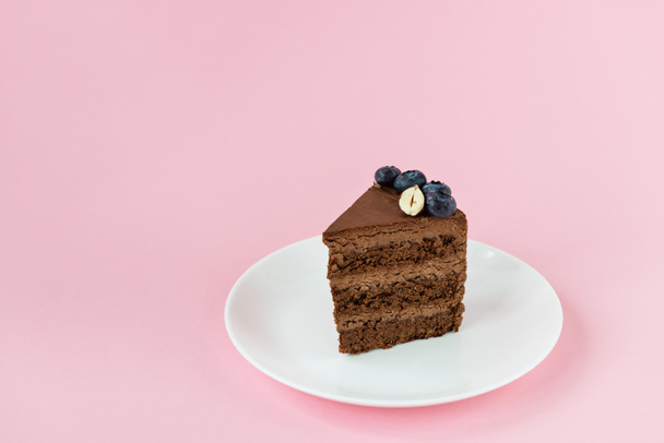A slice of homemade chocolate cake with blueberries and nuts on a pink background. Free of sugar, gluten and lactose. Horizontal orientation, copy space. - Foto, Imagen