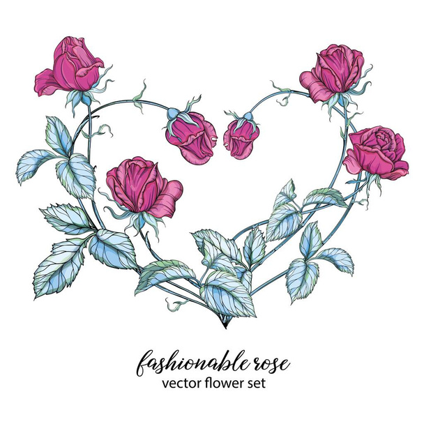 Heart of rose flowers. Pink rose. Vector flower arrangement. - Vector, Image