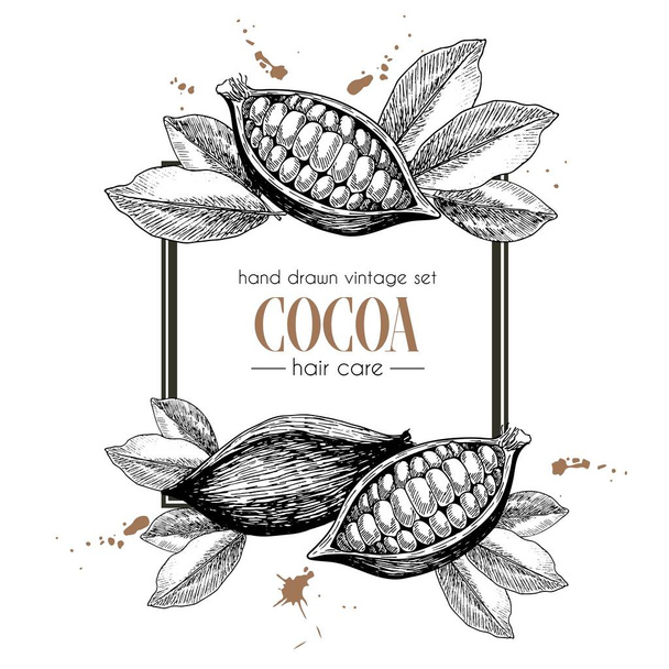 Vector set of hair care ingredients. Organic hand drawn elements. Square border composition. Cocoa beans. Use for cosmetic package, shop, store, products, identity, branding, skin, hair care - Vector, Image
