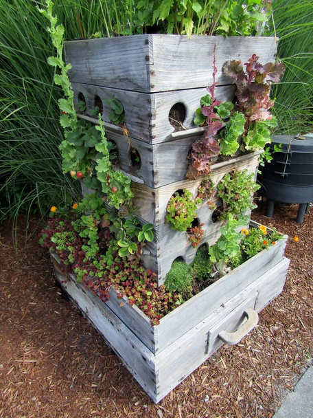 Compost worm bin e cultivar plantador de jardim caixa feita de gavetas velhas - Foto, Imagem