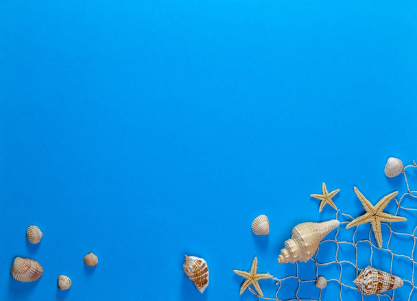 Imagen con conchas marinas. - Foto, imagen