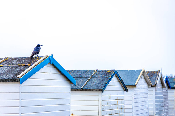 View of a colorful cabin on the seaside in England, UK - Foto, Imagem