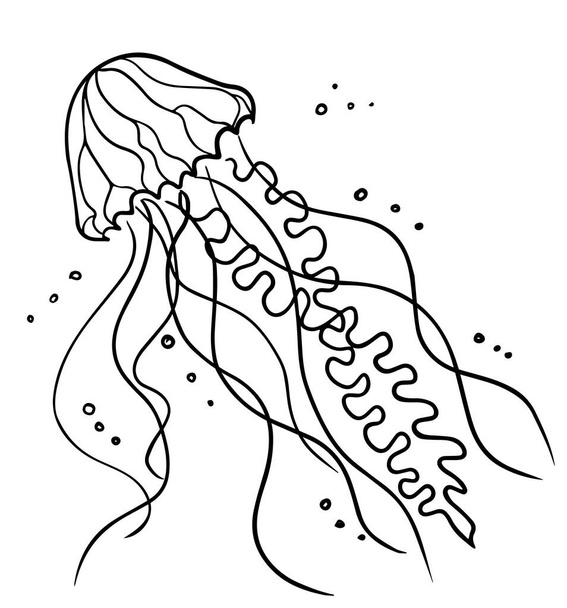 Медузові лінії художня графічна ілюстрація. Морська риба желе для тварин. Векторні
 - Вектор, зображення
