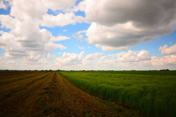 zwart-groene landbouwvelden en zonsondergang in de wolken - Foto, afbeelding