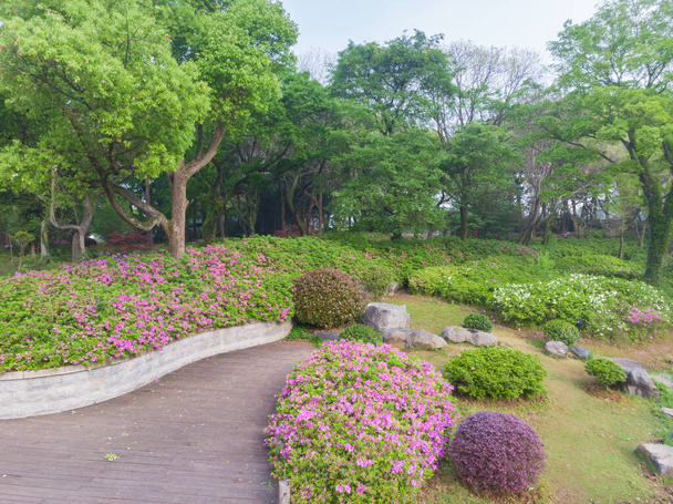 Νωρίς την άνοιξη εναέρια τοπίο της Moshan Rhododendron Garden στην Ανατολική Λίμνη, Wuhan, Hubei, Κίνα - Φωτογραφία, εικόνα