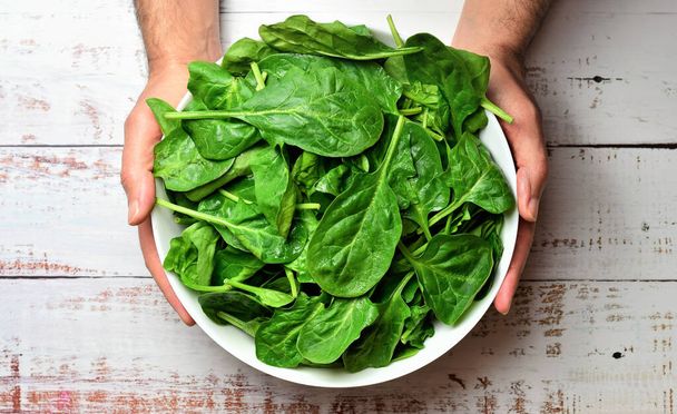 Vegetable background, fresh spinach in white bowl, held by the hands of a young adult person, on white rustic wood, healthy food. - Photo, Image
