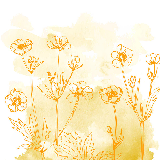 Flowers and herbs line on watercolor background color - Vecteur, image