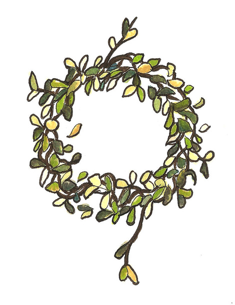 rosemary wreath drawing, green plant spring wreath art - Photo, Image
