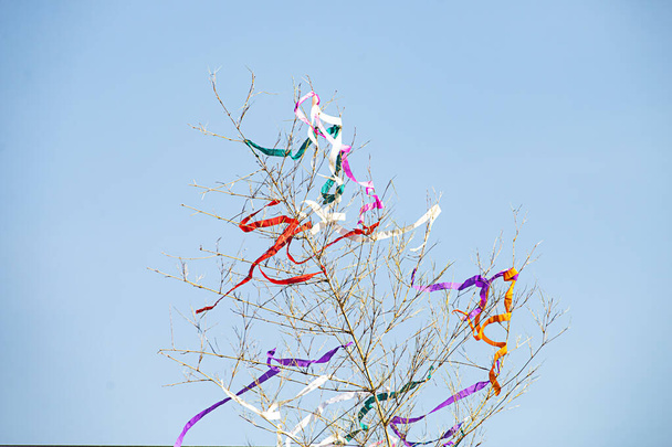 Decora las ramas de bambú con papel de colores en la temporada festiva - Foto, imagen