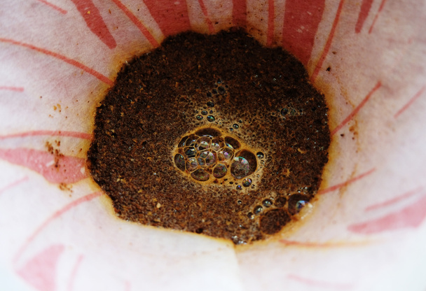 Koffie bloeiend in een papieren filter in een druppelaar, close-up. Giet over de brouwmethode - Foto, afbeelding