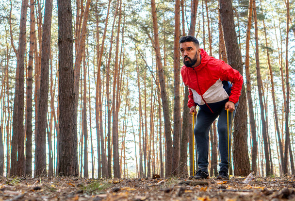 Outdoor fitness. Stylish bearded man pulls the resistance band in a forest. - Фото, зображення