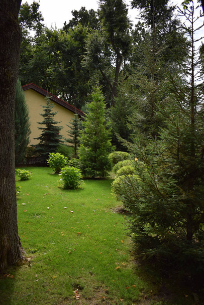Vista de um belo jardim no verão. Projeto da paisagem com gramados verdes brilhantes Atrás da casa é um moderno, serviço de cuidado de jardim, grama verde com uma bela jarda para o fundo. - Foto, Imagem