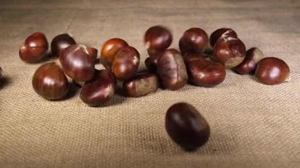 Chestnuts falling on jute canvas background. Autumn. - Materiał filmowy, wideo