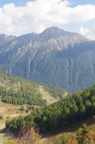 Bergvegetation, grüne und üppige Wälder, die Lunge der Erde, das Herz der ökologischen Nachhaltigkeit - Foto, Bild