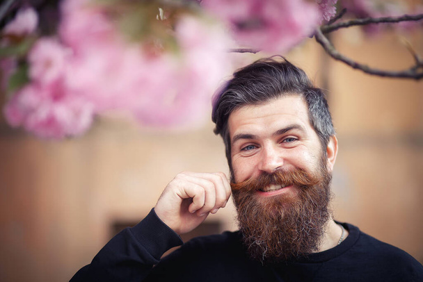 Um homem brutal com flores cor de rosa em uma barba e cabelos grisalhos em uma camisola escura segura seu bigode e ri perto das flores de cereja na primavera. - Foto, Imagem