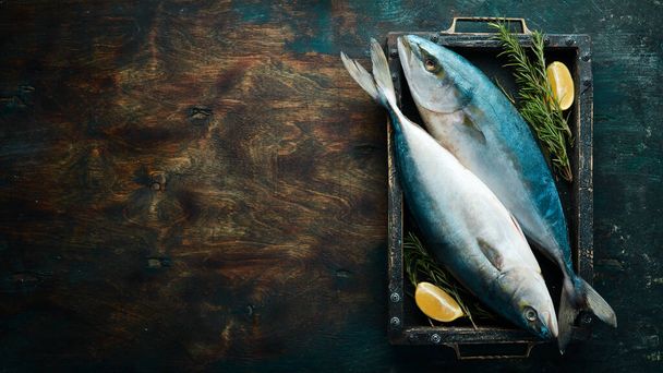 Fresh raw tuna fish with spices on a dark background. Top view. Seafood. - 写真・画像