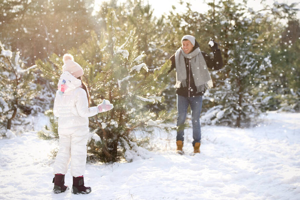 Father and daughter having snowball fight outdoors on winter day. Christmas vacation - 写真・画像