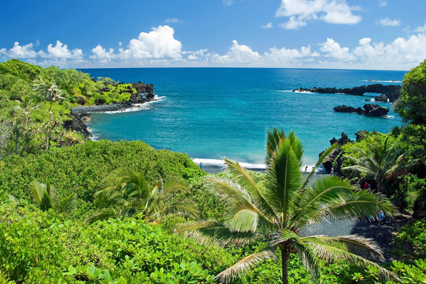 Havaijin paratiisi Maui saarella
 - Valokuva, kuva