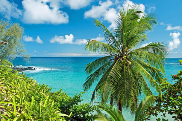 Paradis hawaïen sur l'île de Maui
 - Photo, image