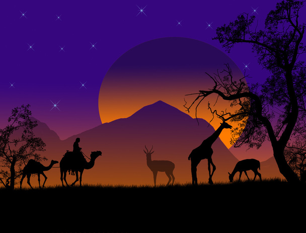 Safari - silhouettes of wild animals and bedouin with camels, vector background - Vector, Image