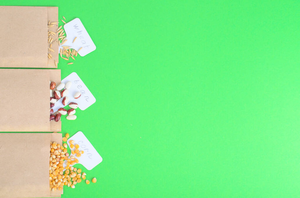 Семена овощей в бумажных мешках из крафта на ярком фоне. Студия фото - Фото, изображение