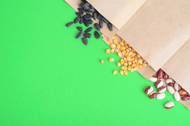Vegetable seeds in kraft paper bags on bright background. Studio Photo - Foto, Bild