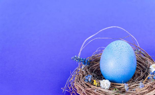Colorful background with Easter eggs on blue background. Happy Easter concept. Can be used as poster, background, holiday card. Flat lay, top view, copy space. - Photo, Image