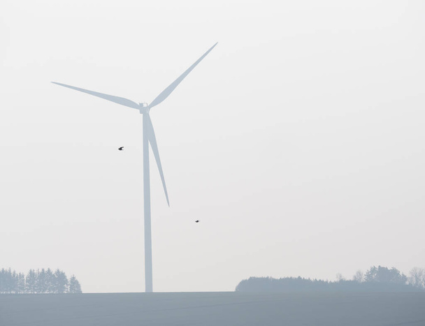 Rotierender Windgenerator in Schanze - Foto, Bild