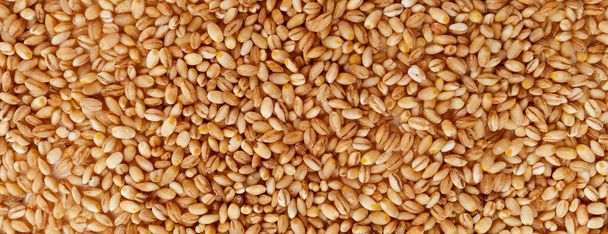 textura de grano de cebada perla cruda - Foto, imagen