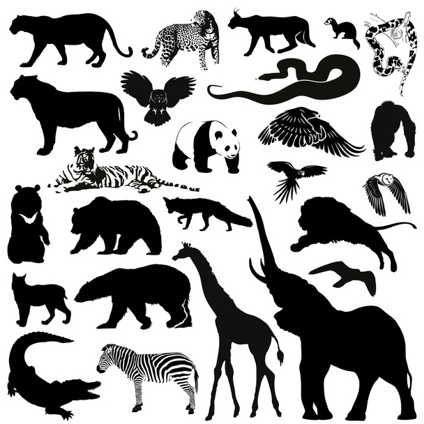 Wild animals silhouettes - Vecteur, image