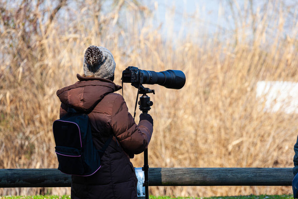 Bird photographer take photos with a camera and telephoto, Laguna di Marano - Фото, зображення