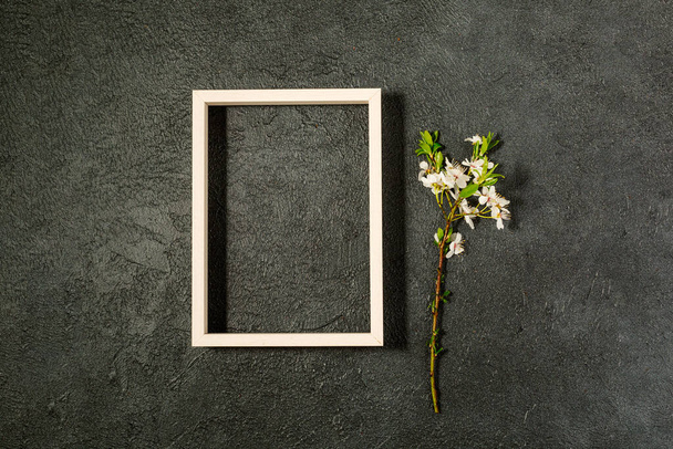spring background with fresh flower on black background. - Фото, изображение