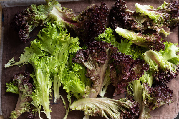 Nasse Salatblätter auf einem Handtuch. Hochwertiges Foto - Foto, Bild