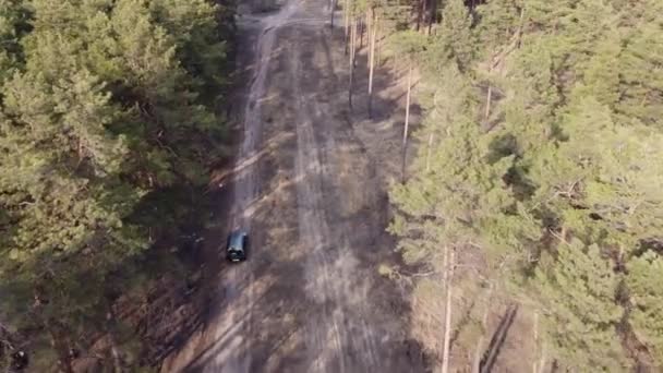 Conducir en coche en el camino de arena del bosque en el día de verano filmado desde arriba - Metraje, vídeo