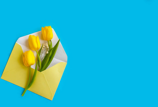 envelope flower tulip on colored background - 写真・画像