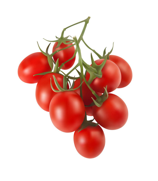 Bush de tomates de cereja vermelhos em um contexto branco. ilustração 3d - Foto, Imagem